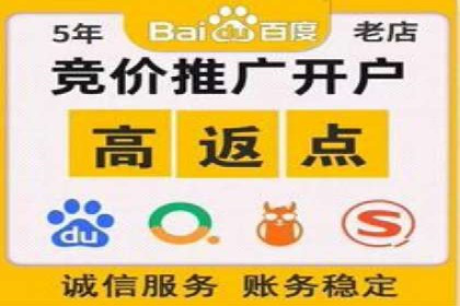 百度竞价推广成功案例解析
